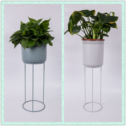 Plant set